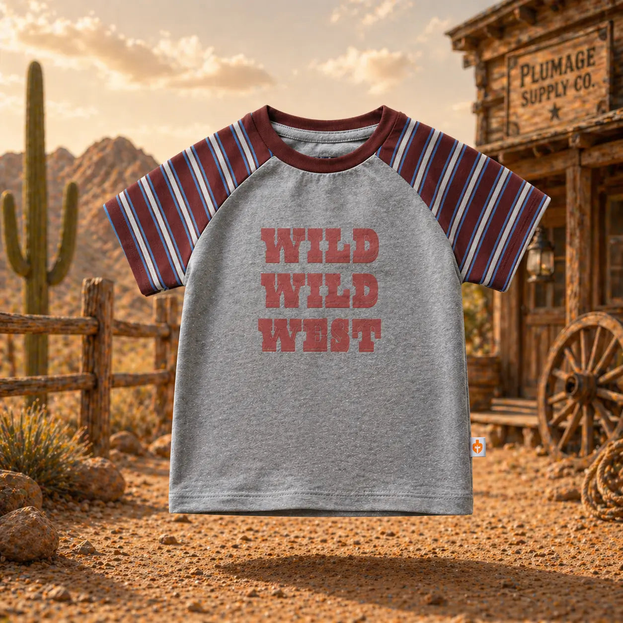 Boys Grey double Colour Half Sleeve Printed T-Shirt(Ages 2-8) | Plumageshop