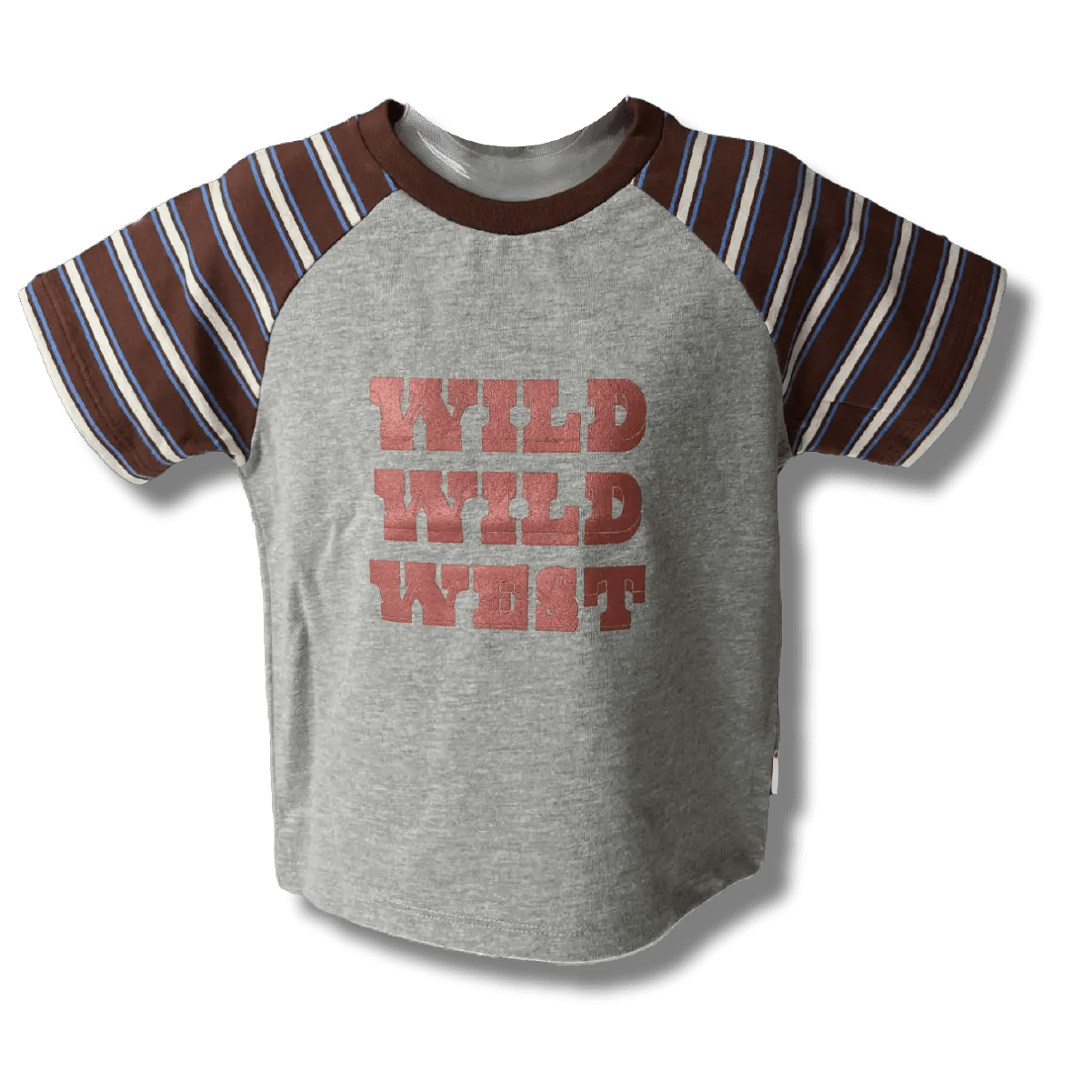 Boys Grey double Colour Printed Half Sleeve Printed T-Shirt - Plumage Shop